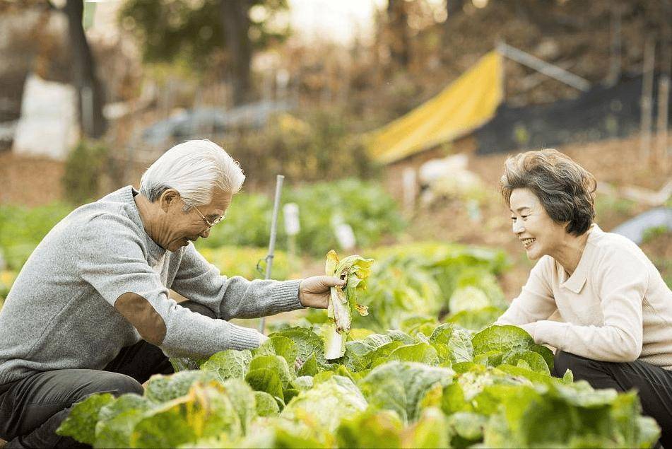 天气炎热医生提醒中老年人：就算喝点凉水也别轻易吃这些素菜(图7)