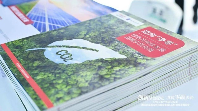 零碳引领载誉前行！德力西电气荣获2024绿色可持续发展贡献奖(图5)
