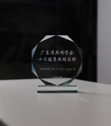 月影照明荣获“十大健康照明品牌”奖开启健康新纪元(图2)