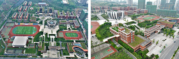 重庆市建科院：推动生态“含绿量”助力发展“含金量”(图4)