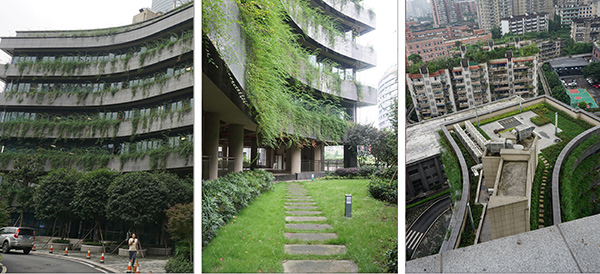 重庆市建科院：推动生态“含绿量”助力发展“含金量”(图2)