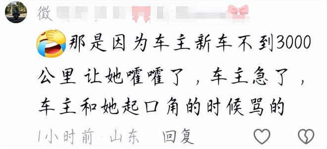 山东“钟无艳”砸车后续！女子闹事原因曝光车主朋友再发声(图15)