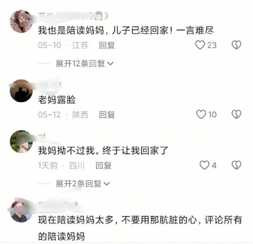 陪读妈妈带儿子“回老家”引热议这个世界我看不懂了(图11)