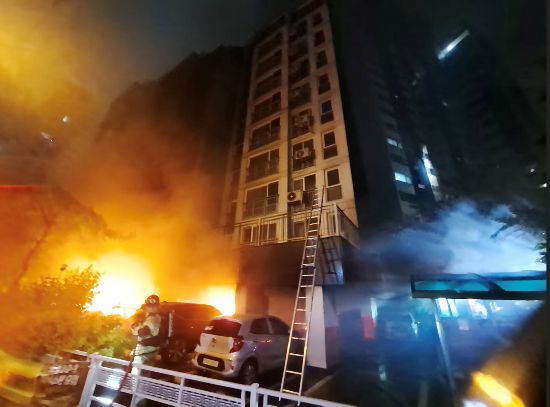 社会--韩国频道--人民网(图2)