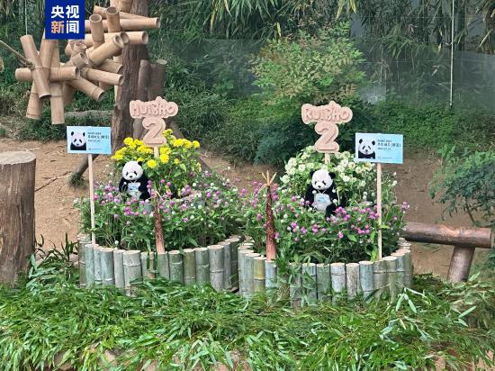 社会--韩国频道--人民网(图7)