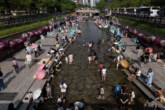 社会--韩国频道--人民网(图6)