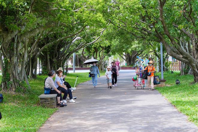 热带海岛的“降温革命”海南实施“清凉城市”建设(图2)