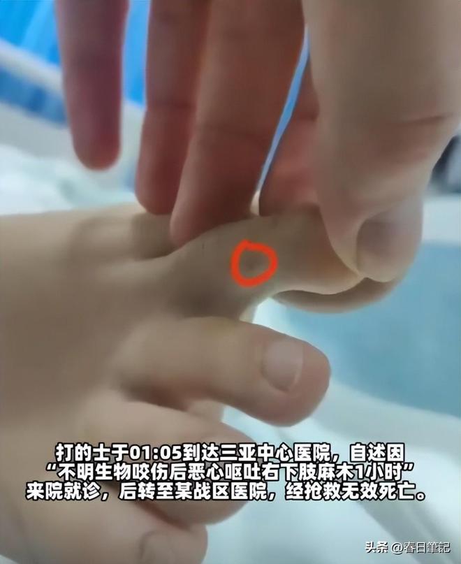 女游客被蛇咬身亡后续！身份信息曝光家属发声抢救后称没经验(图3)