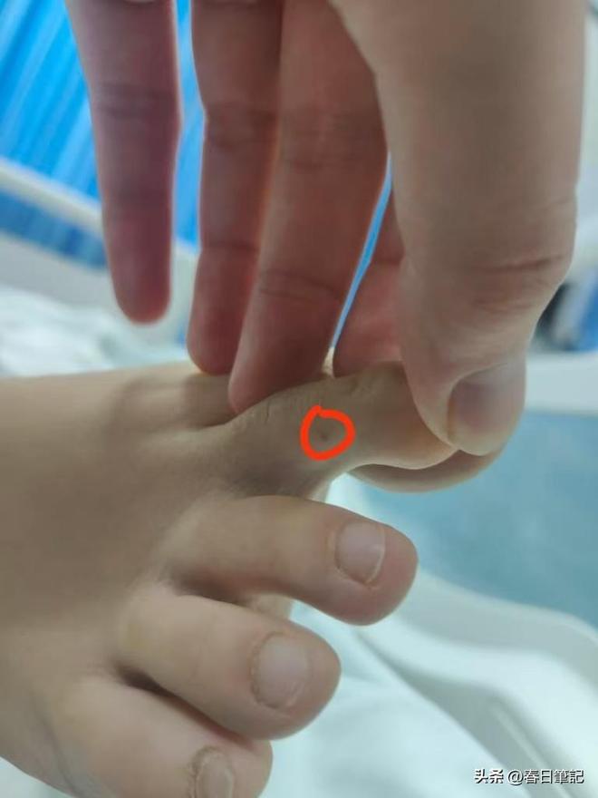 女游客被蛇咬身亡后续！身份信息曝光家属发声抢救后称没经验(图9)