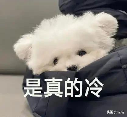 “春节冷不冷就看冬至”今日冬至今年过年会冷到哭？(图7)