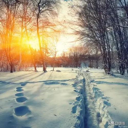 “春节冷不冷就看冬至”今日冬至今年过年会冷到哭？(图10)