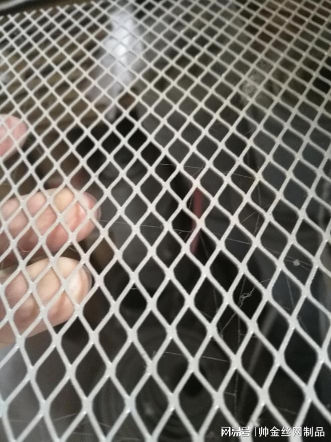 铝板网网面层:机房吸音降噪建筑幕墙装饰的轻盈铠甲(图3)